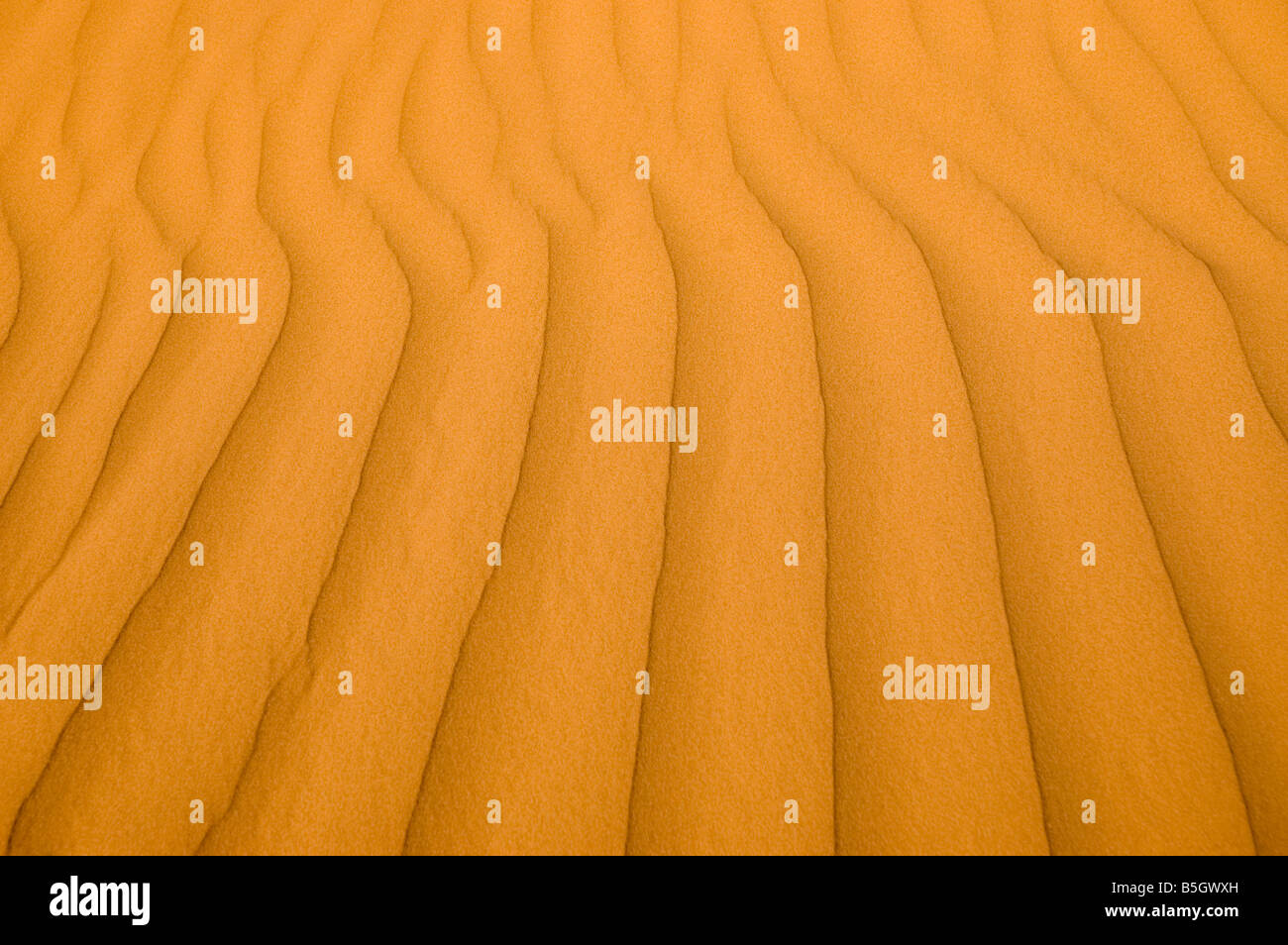 Linien in den Sand in der Wüste Sahara Stockfoto