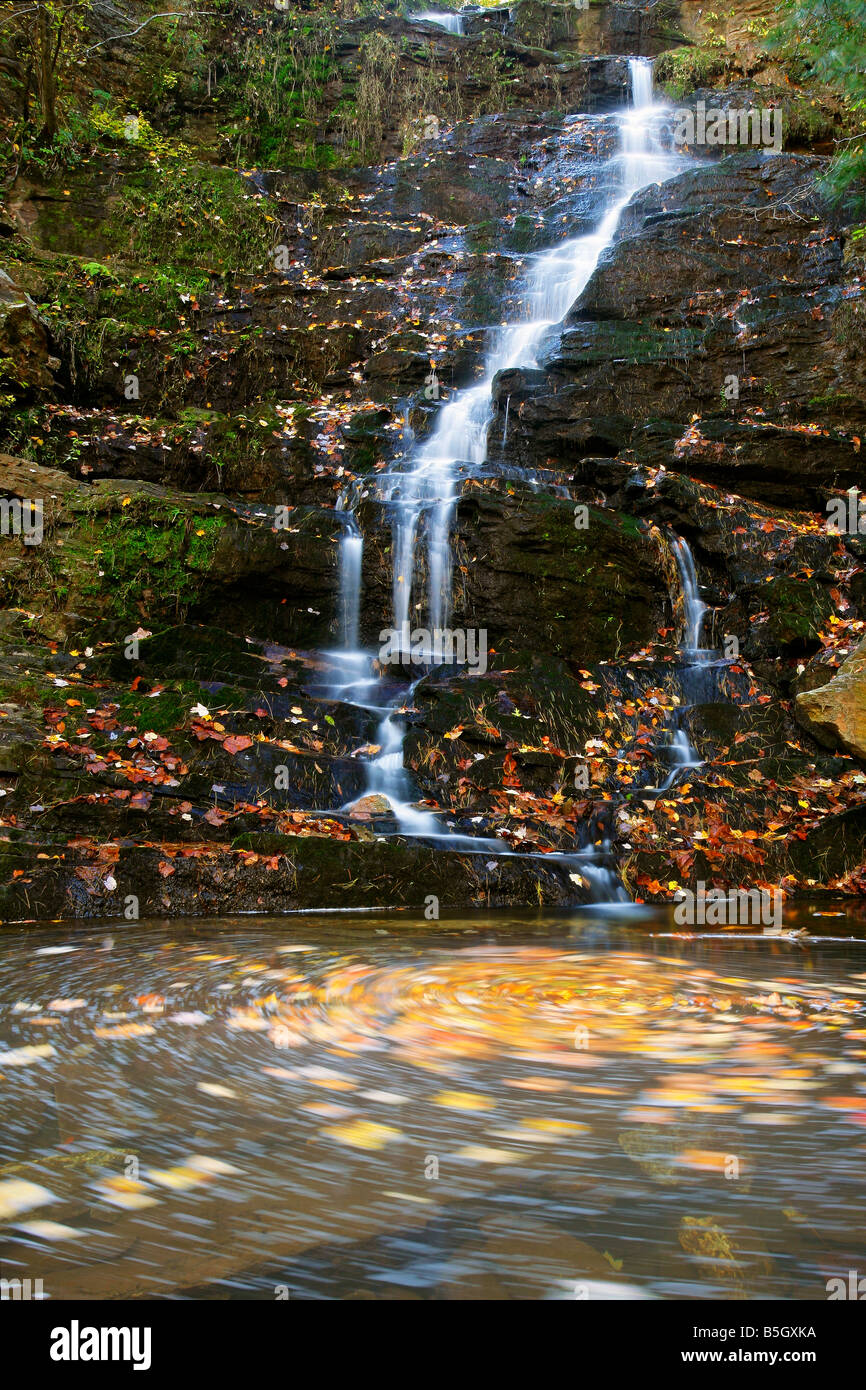 Herbstfarben am Reedy Zweig verliebt sich in South Carolina Stockfoto