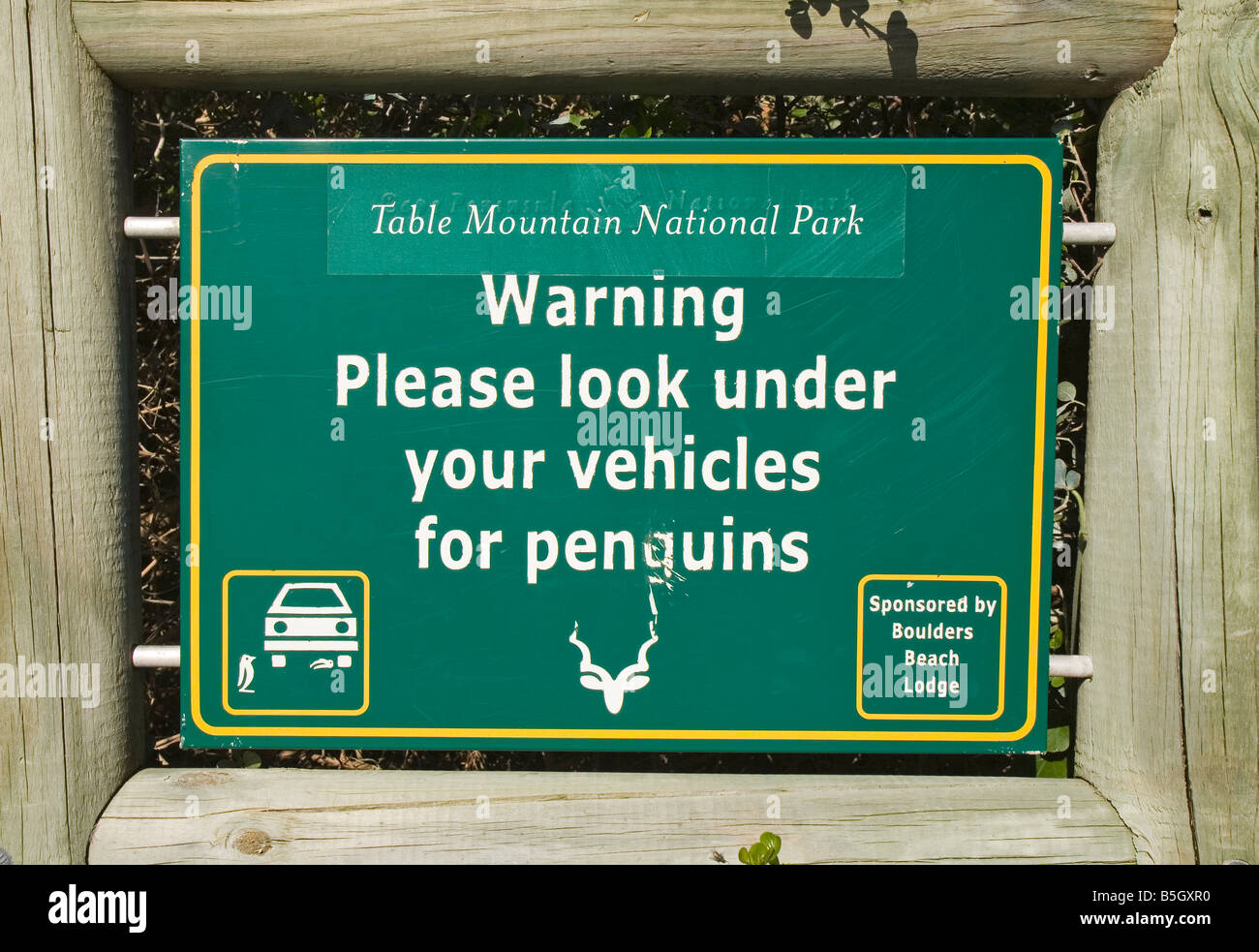 lustige Schild am Boulders Pinguin-Kolonie Stockfoto