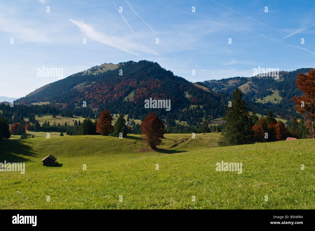 Bergbauernhof Felder im Herbst am Oberjoch Pass an der deutschösterreichischen Grenze
