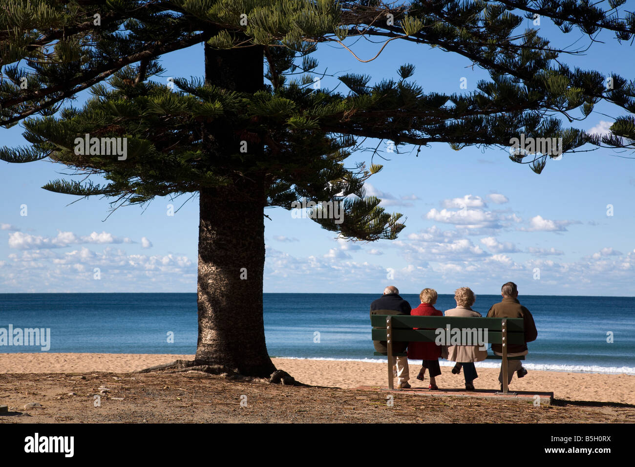 Senioren genießen die Aussicht Palm Beach Sydney New South Wales Australien Stockfoto