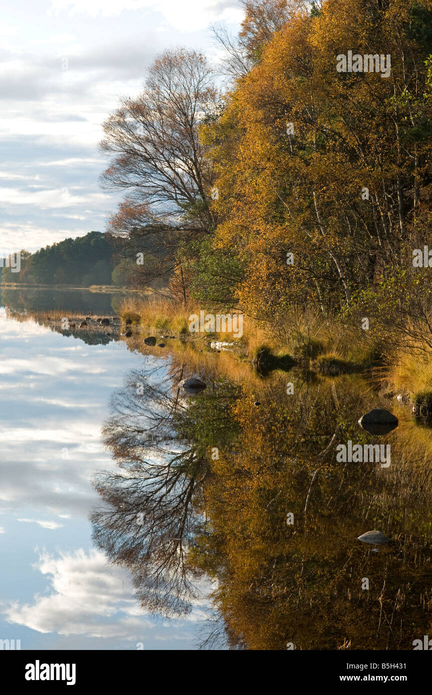 Loch Morlich und die Cairngorm Mountains Glenmore Strathspey Inverness-Shire Highland Region Schottland UK SCO 1142 Stockfoto