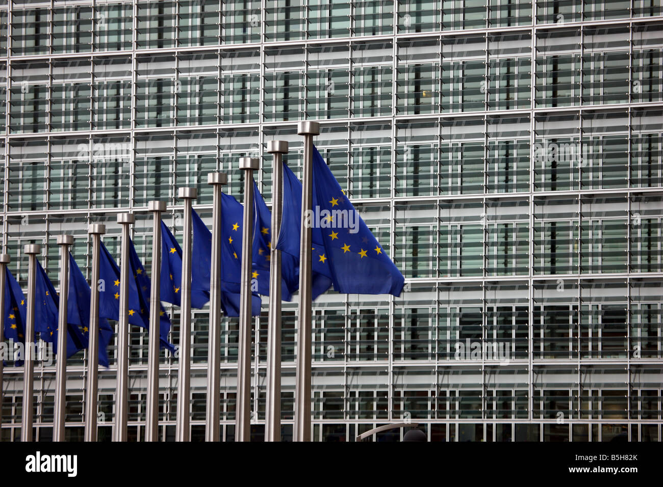 Europäische Union Flaggen Stockfoto