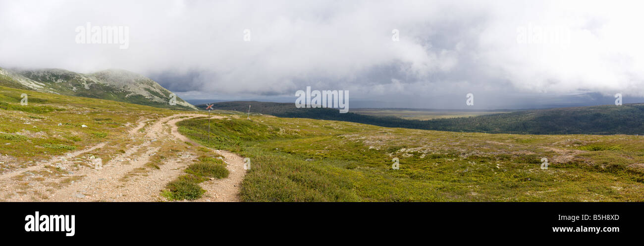 Panoramablick auf Nipfjället, ein Berg in Schweden (Dalarna, Idre) Stockfoto