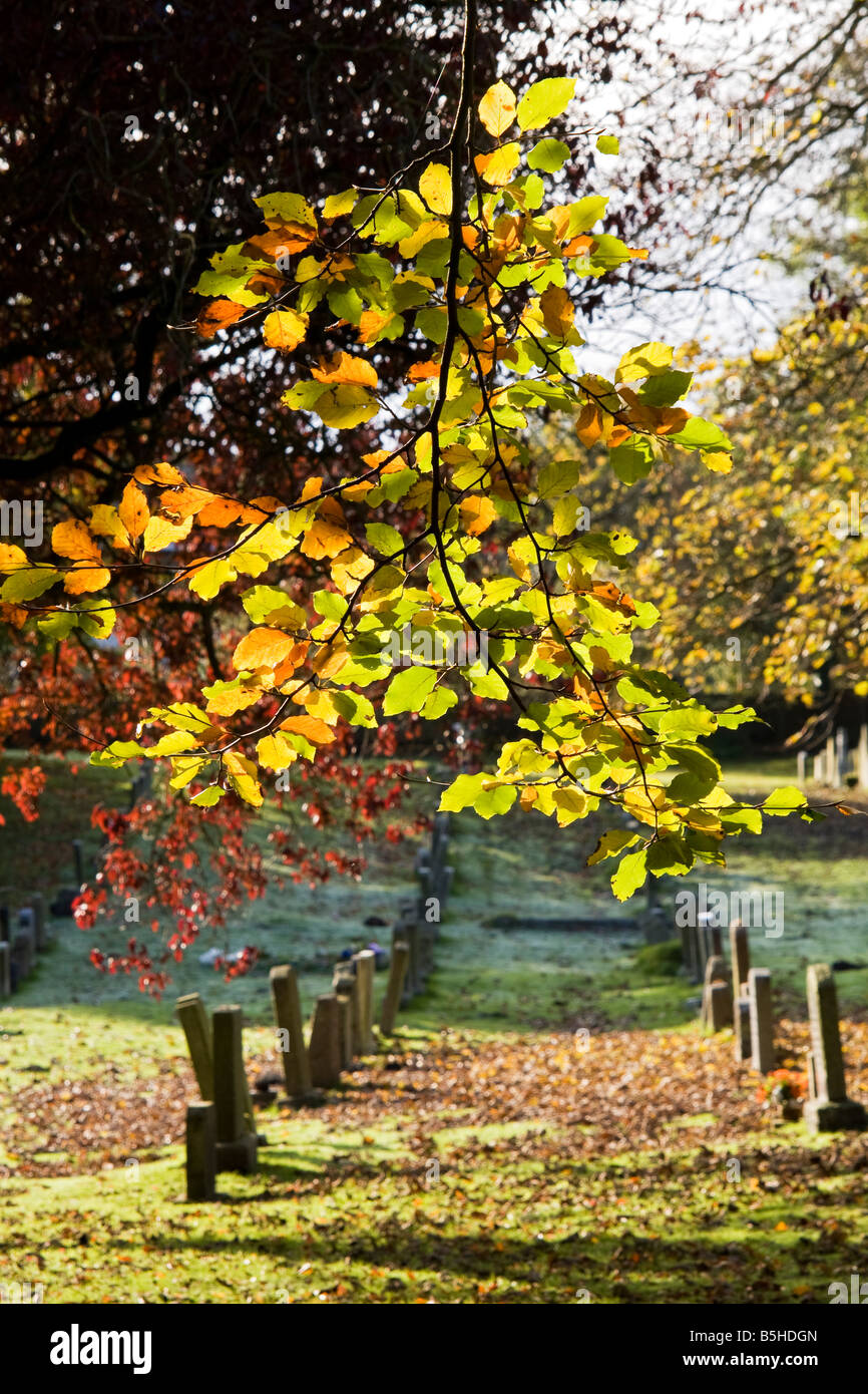 Reihe von Grabsteinen am St. Marien-Kirchhof in Cumbria, England. Stockfoto