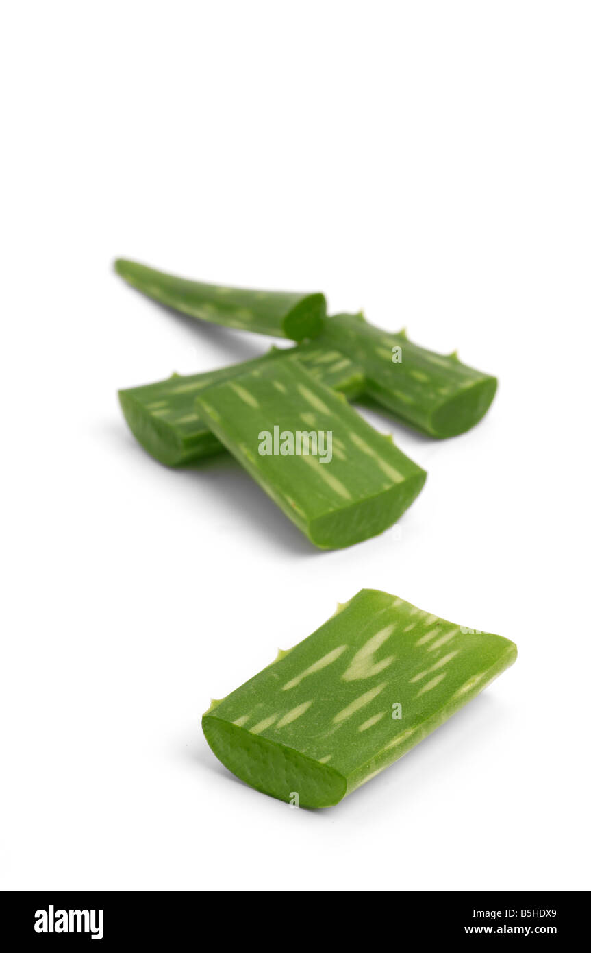 Aloe Vera Stockfoto