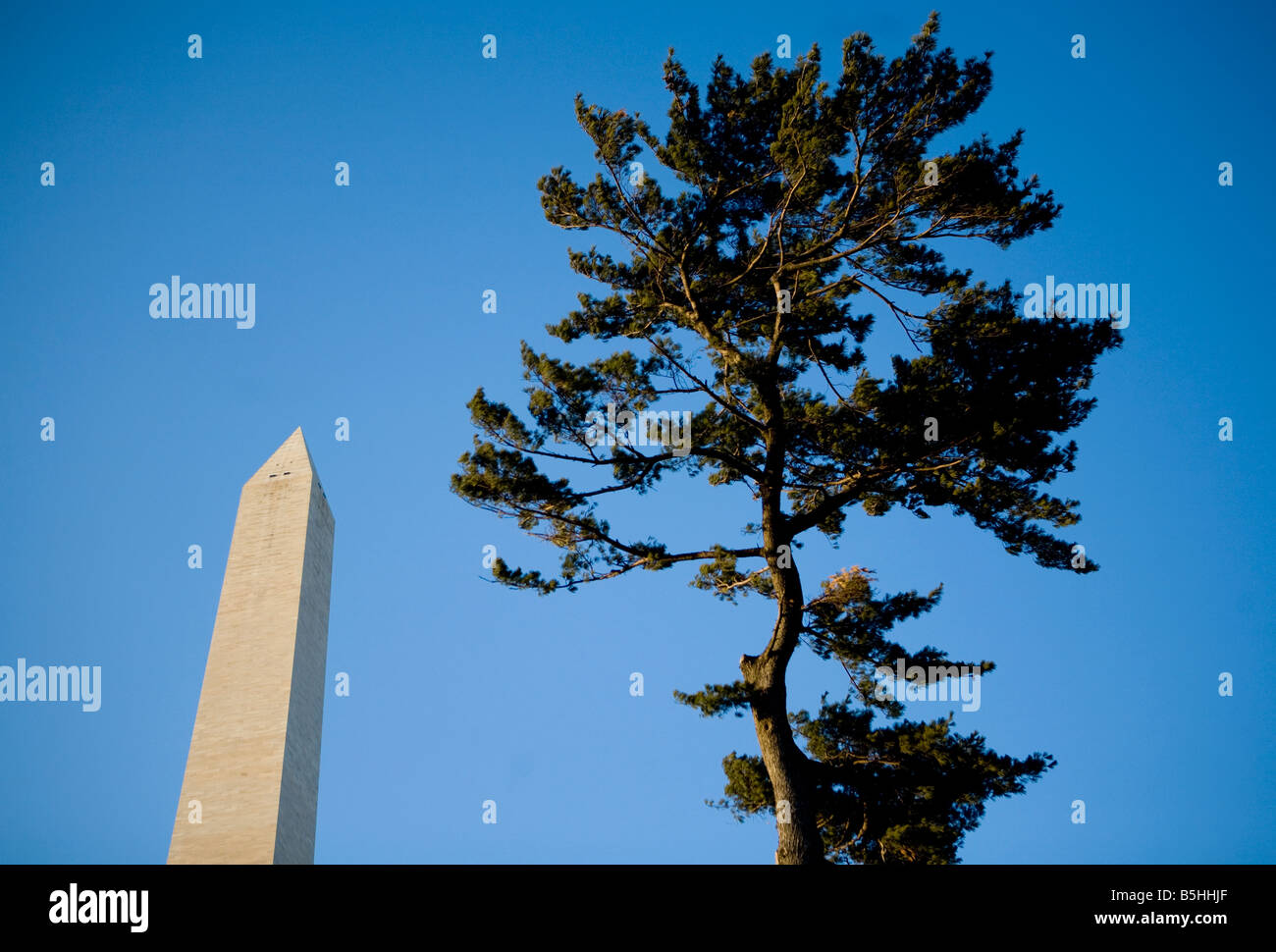 1. März 2008 Washington D C das Gelände rund um das Washington Monument Stockfoto