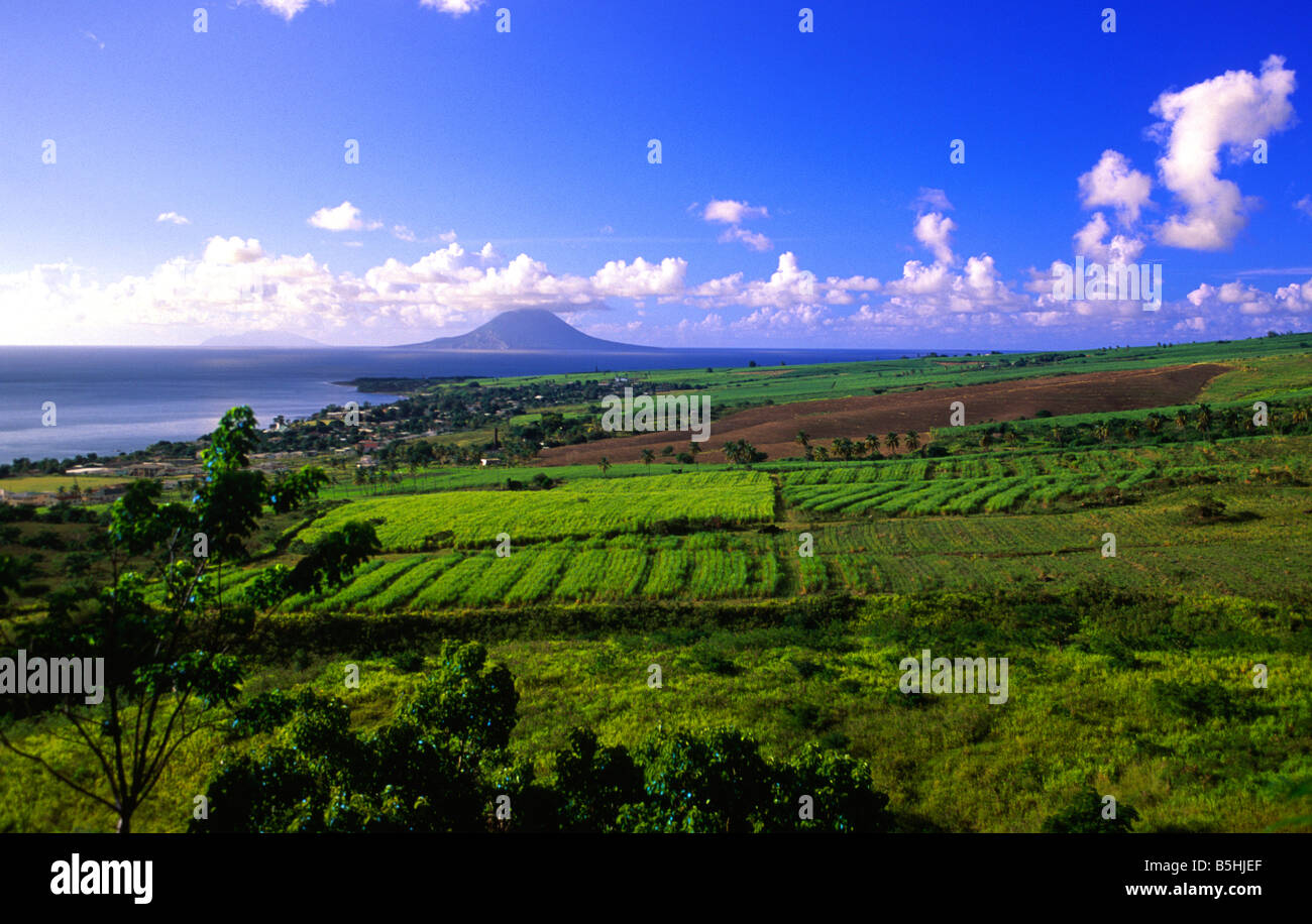 Zuckerrohr-Felder führen hinunter zu Sandy Point Stadt mit St Eustatius im Hintergrund St. Kitts Stockfoto