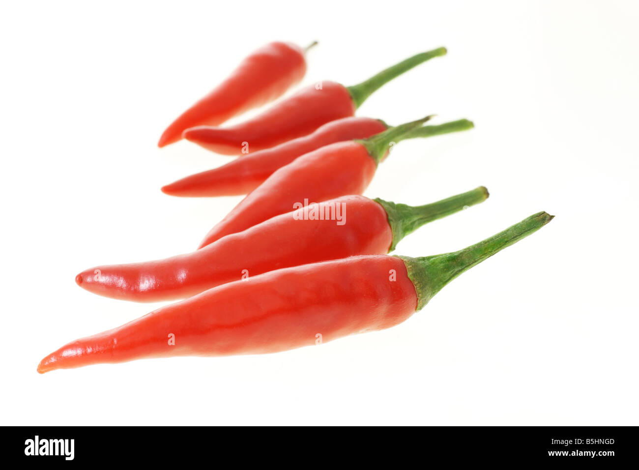Rote heiße Chilischoten auf weißem Hintergrund Stockfoto