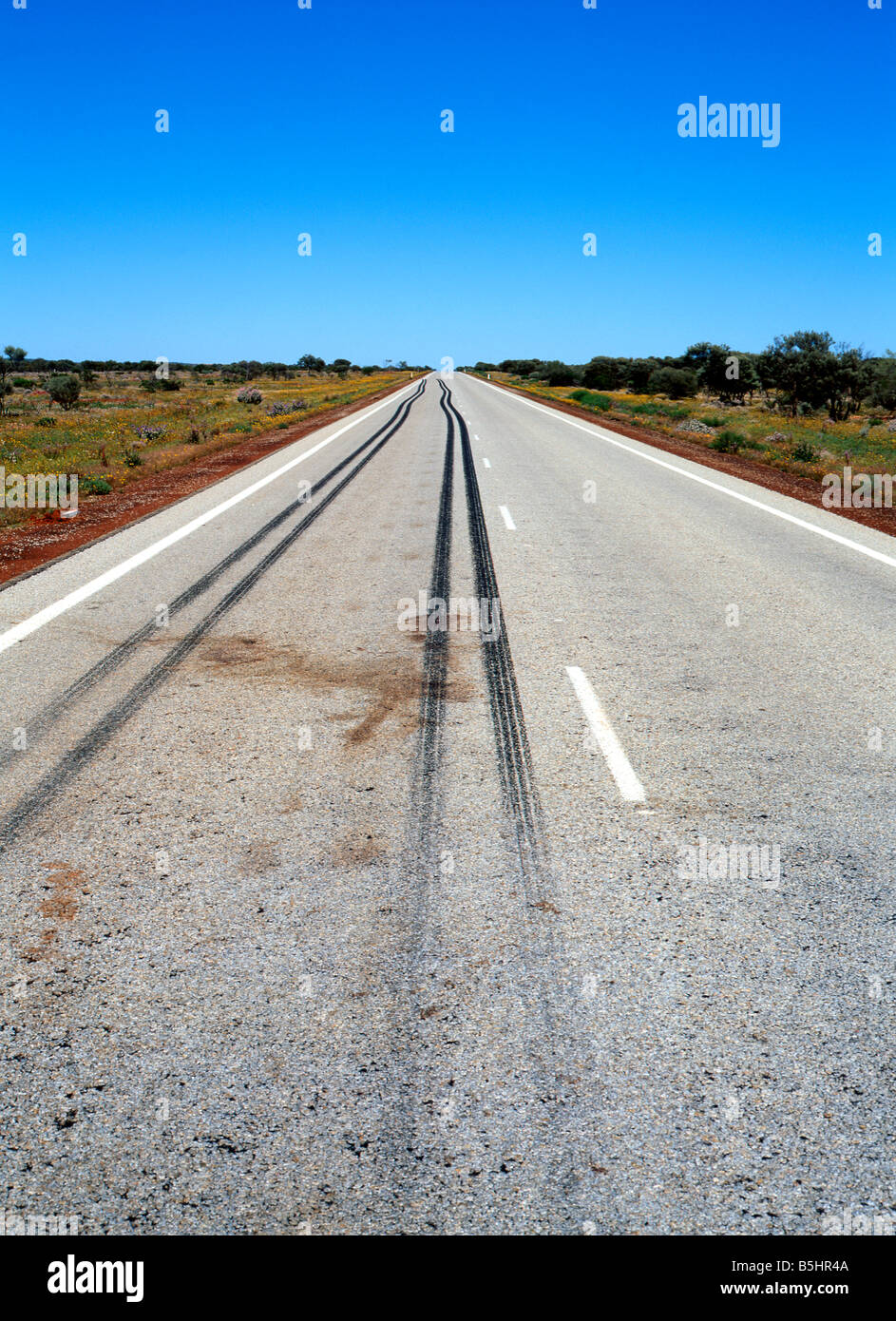 LKW Reifen Bremsspuren und Tierblut Fleck auf Landstraße, Pilbara, Western Australia Stockfoto