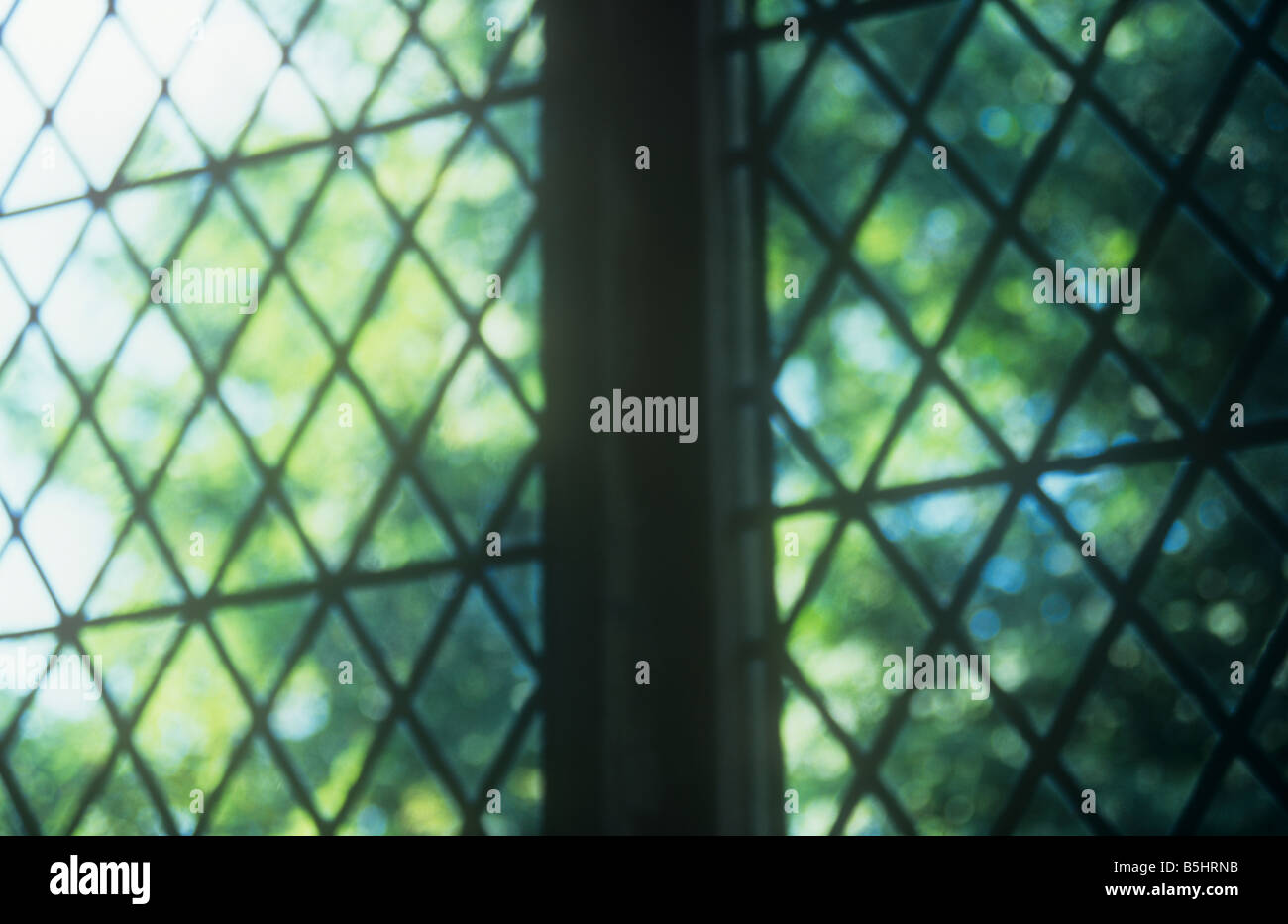 Impressionistische schlicht Diamant Bleiglasfenster dekoriert gotische Blick auf enge Bäume mit Hintergrundbeleuchtung Blättern Stockfoto