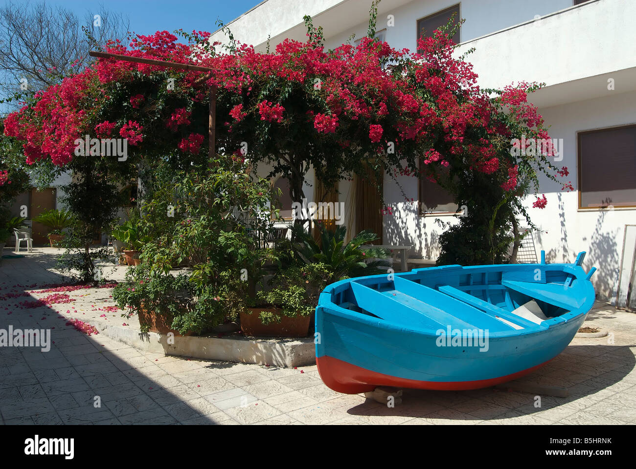 die Bouganvillea Schlauchboot Stockfoto