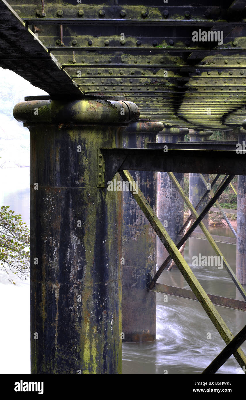 Penallt Viadukt über den Fluss Wye, Redbrook, Gloucestershire, England, Vereinigtes Königreich Stockfoto