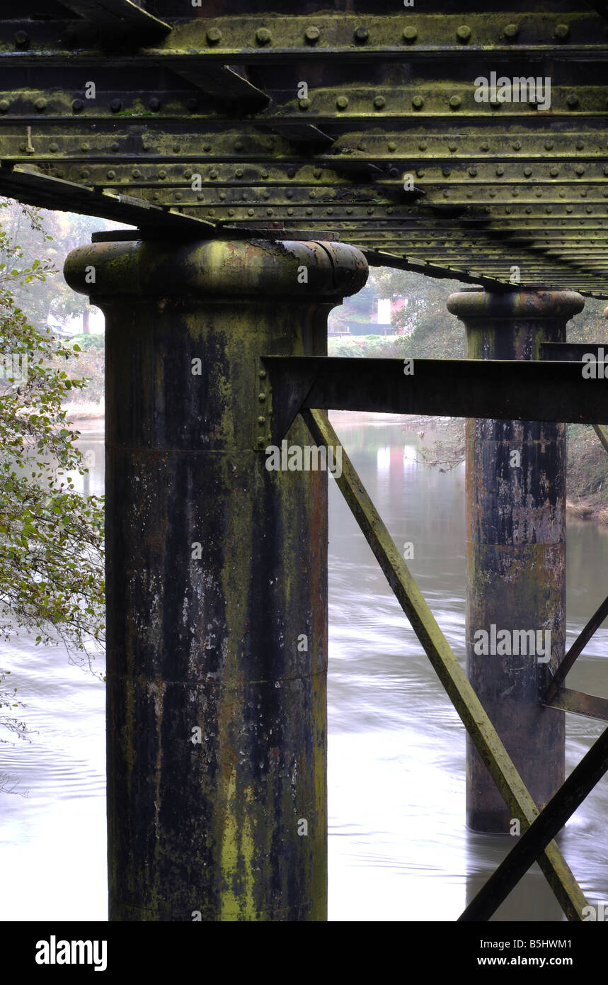 Penallt Viadukt über den Fluss Wye, Redbrook, Gloucestershire, England, Vereinigtes Königreich Stockfoto