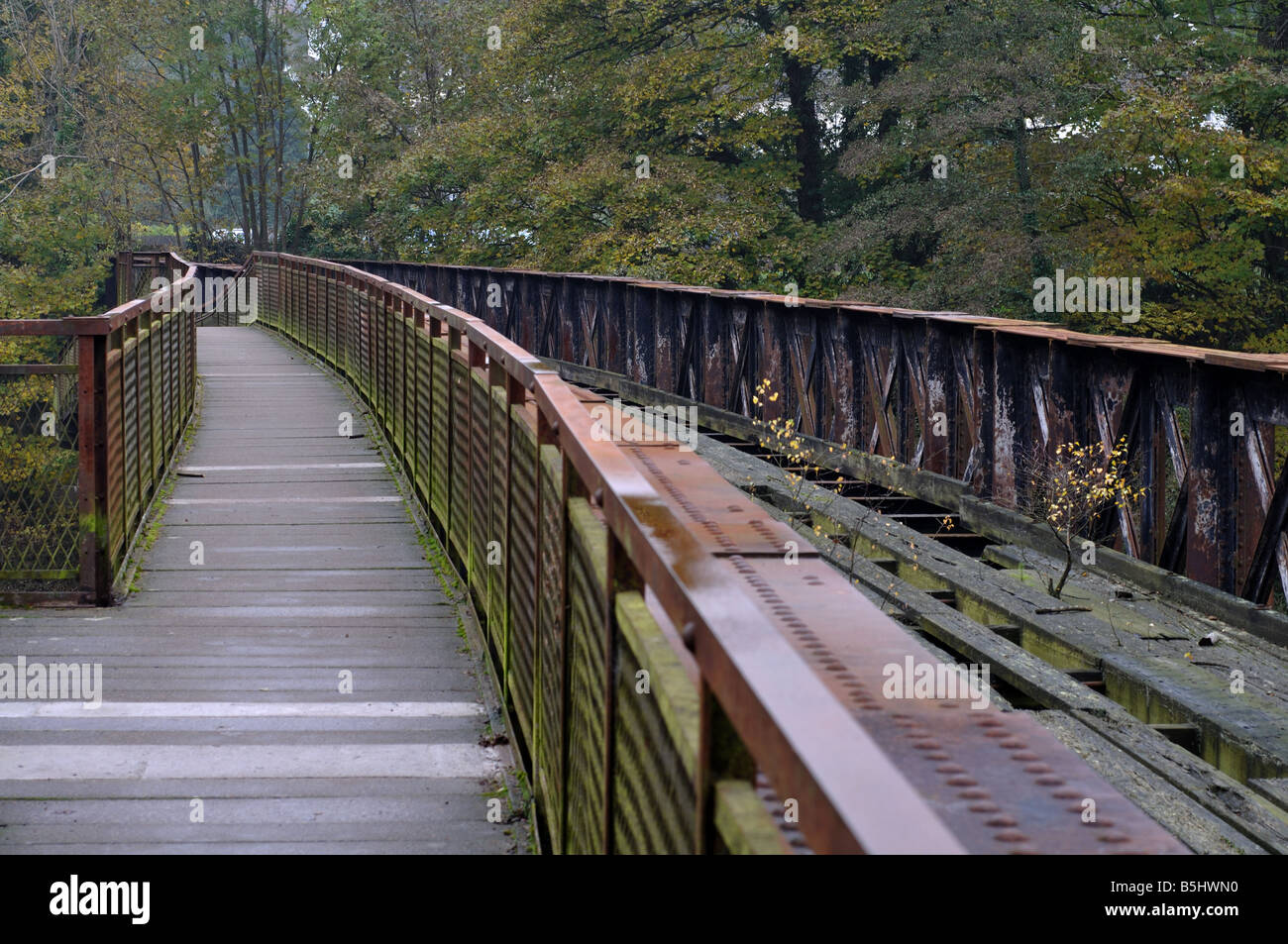 Penallt Viadukt über den Fluss Wye, Redbrook, Gloucestershire, England, Vereinigtes Königreich Stockfoto