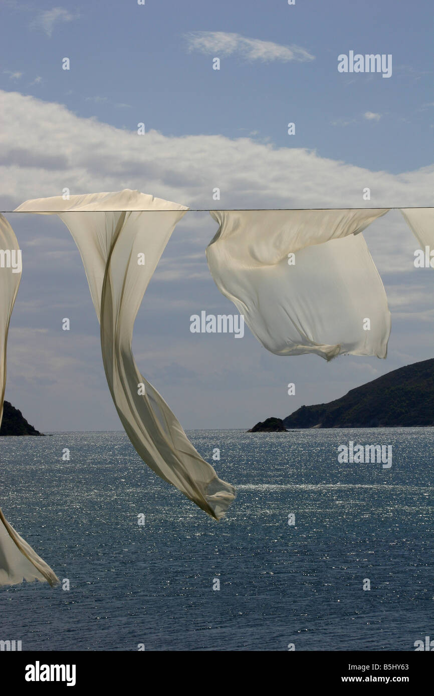 Voile gegen Meer weht Stockfoto