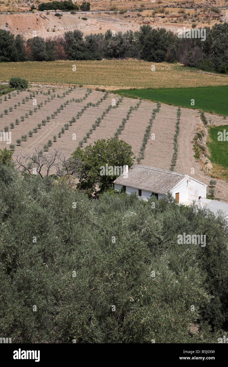 Bauernhaus, ländliche andalusische Landschaft Spanien weiß Stockfoto