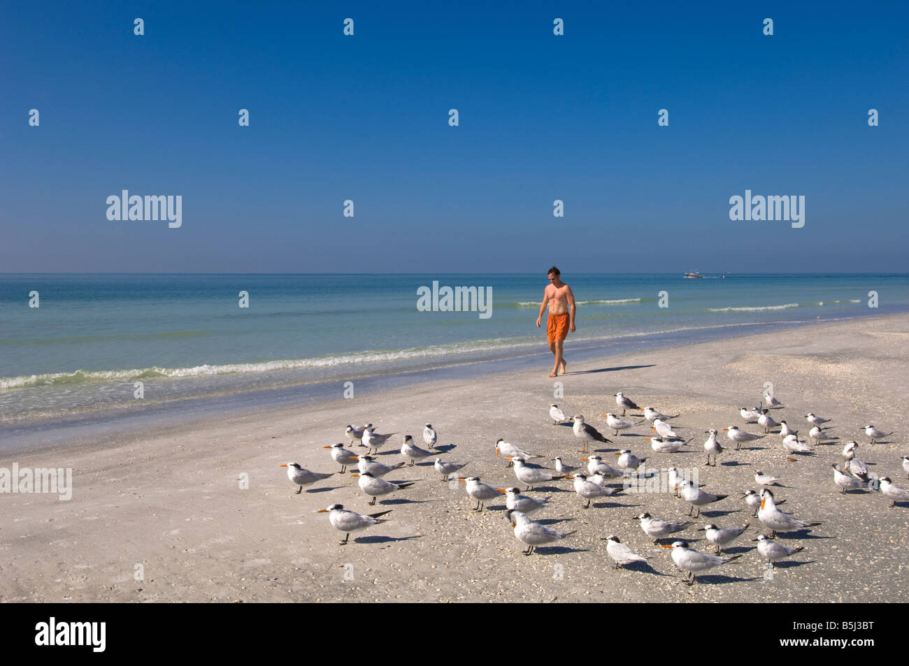Vereinigte Staaten von Amerika Florida St.Petersburg Treasure Island beach Stockfoto