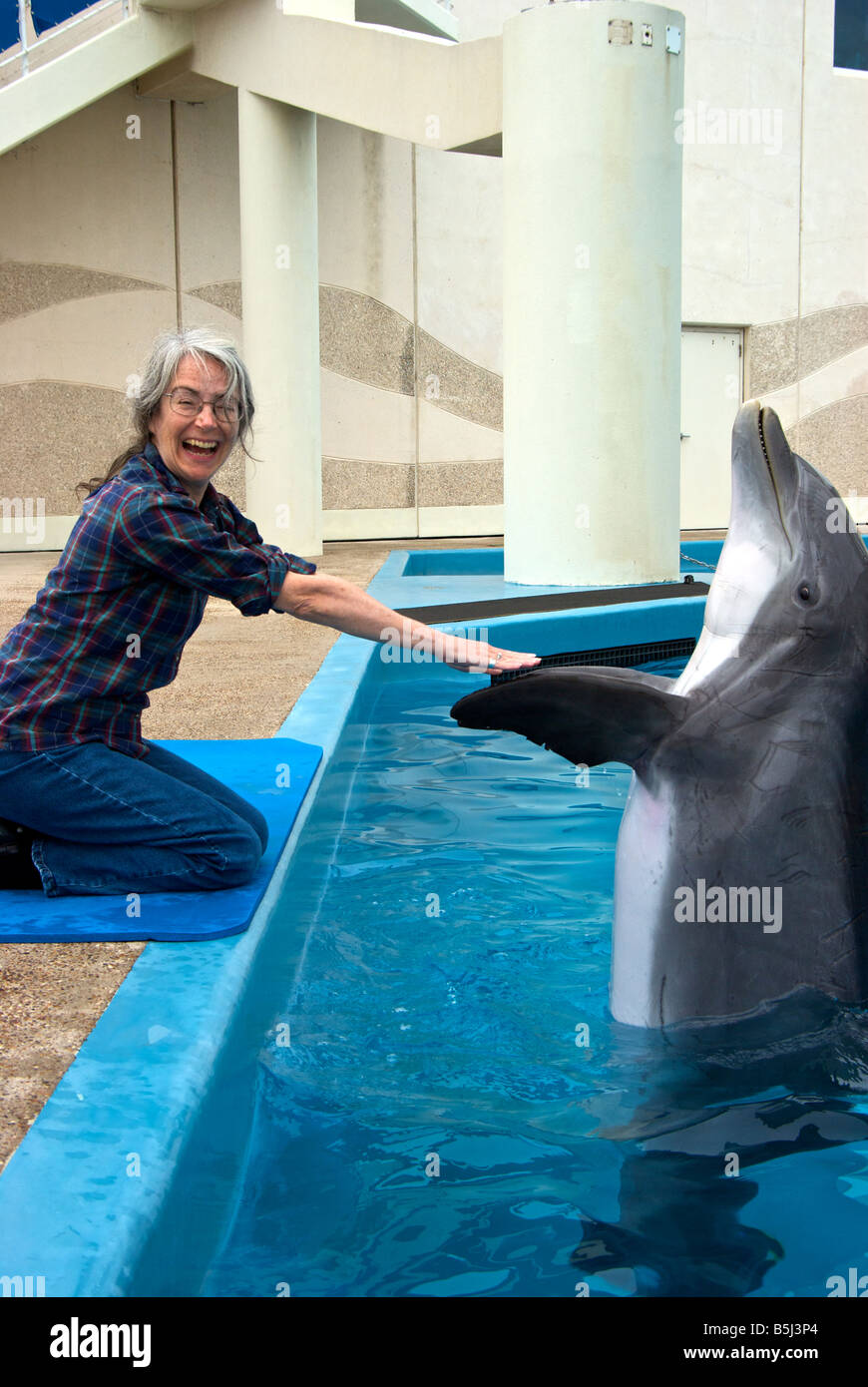 Atlantische Flasche Nase Delphin zeigt die Macht der seine Egel durch heben sich berühren seine Brustflossen in Frauenhand Stockfoto