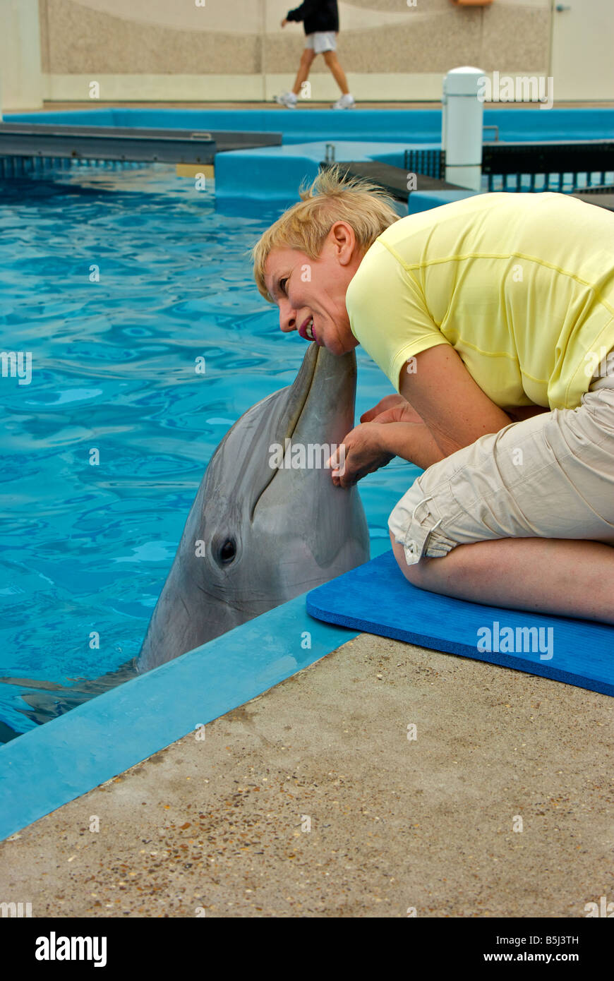 Atlantische Flasche Nase Delphin geben Kuss dankbar Besucher am Texas State Aquarium pool Stockfoto