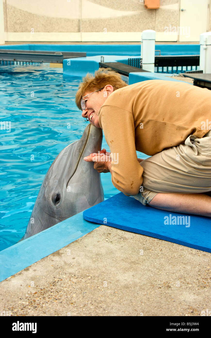 Atlantische große Tümmler givin Gkiss Frau Besucher am Texas State Aquarium pool Stockfoto