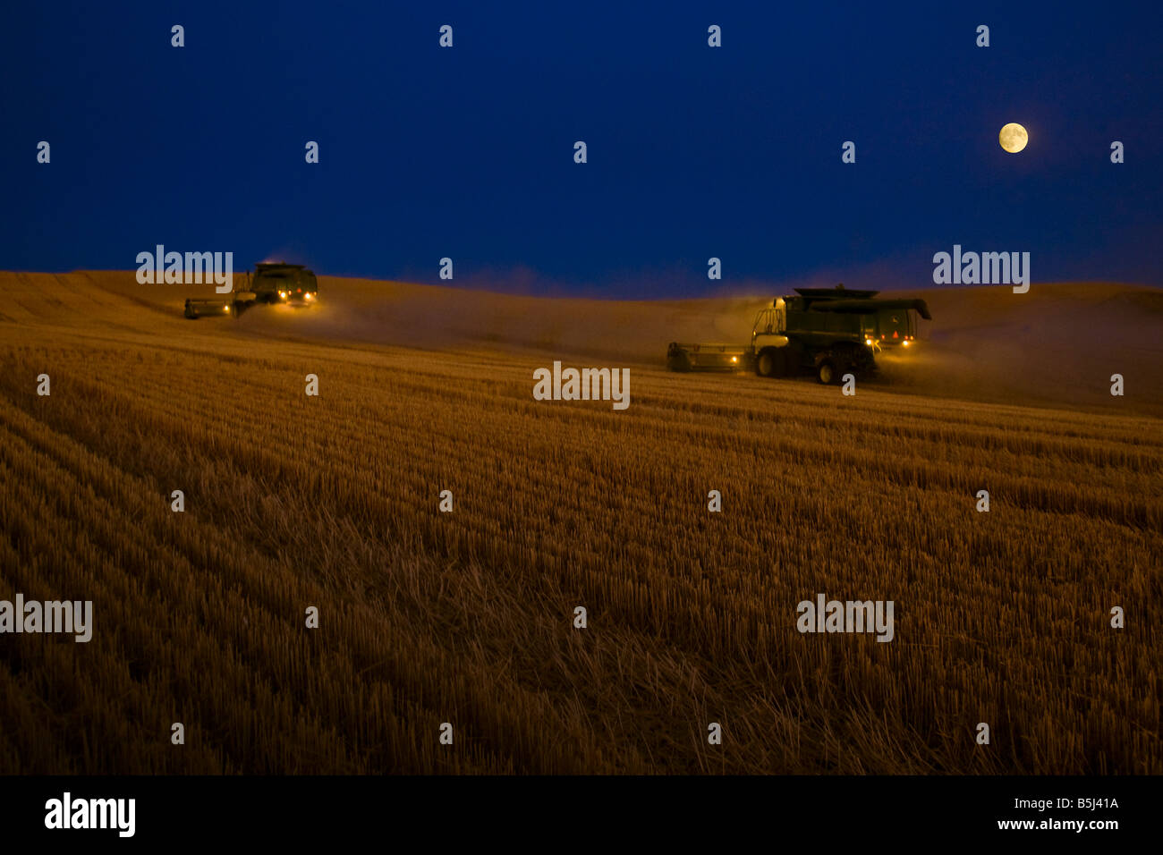 Ein paar verbindet Ernte Weizen in der frühen Abenddämmerung bei Mondschein in der Palouse Region Washington Stockfoto