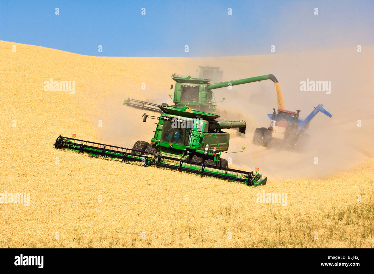 Ein Team von Mähdreschern Ernte Weizen auf den Hügeln der Palouse Region Washington, während man auf dem Sprung zu einem Getreide Wagen entladen Stockfoto