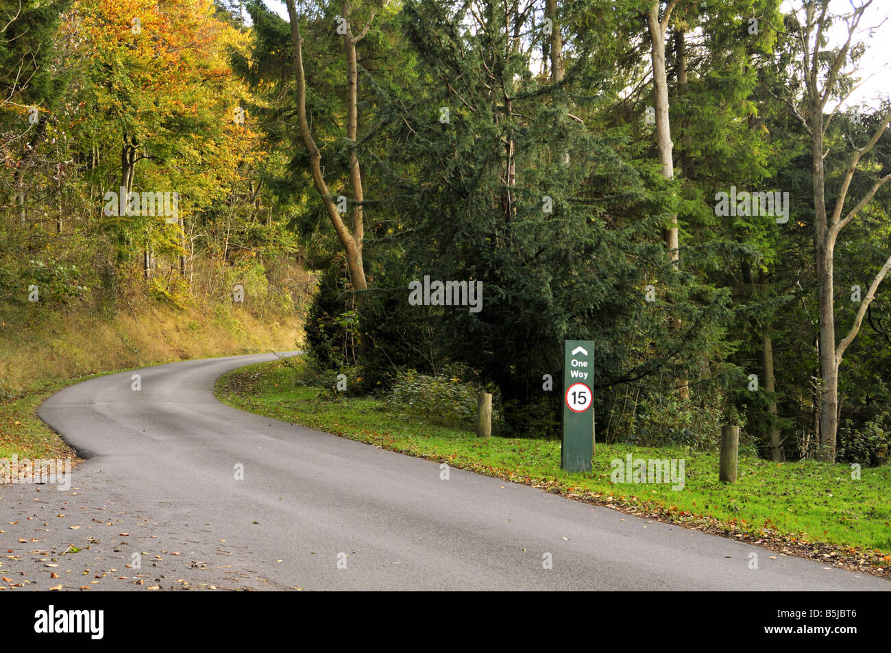 15 Meilen pro Stunde Höchstgeschwindigkeit auf der Einbahnstraße bis Wendover Woods in Buckinghamshire UK Stockfoto