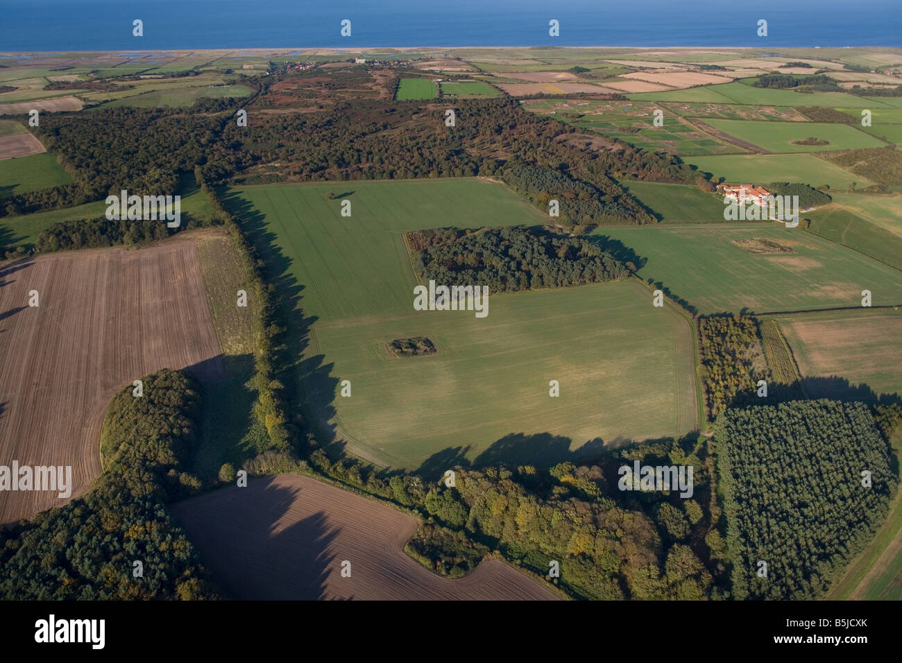 Salthouse Heide Norfolk UK Oktober Stockfoto