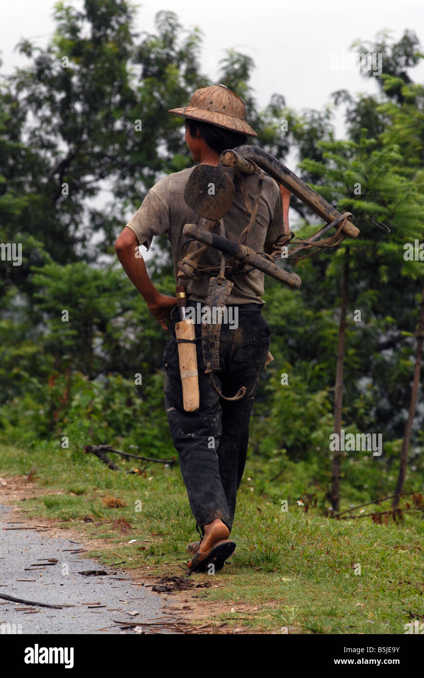 Hmong Mann zurück vom Pflügen Reisfelder Nordvietnam kommenden Stockfoto
