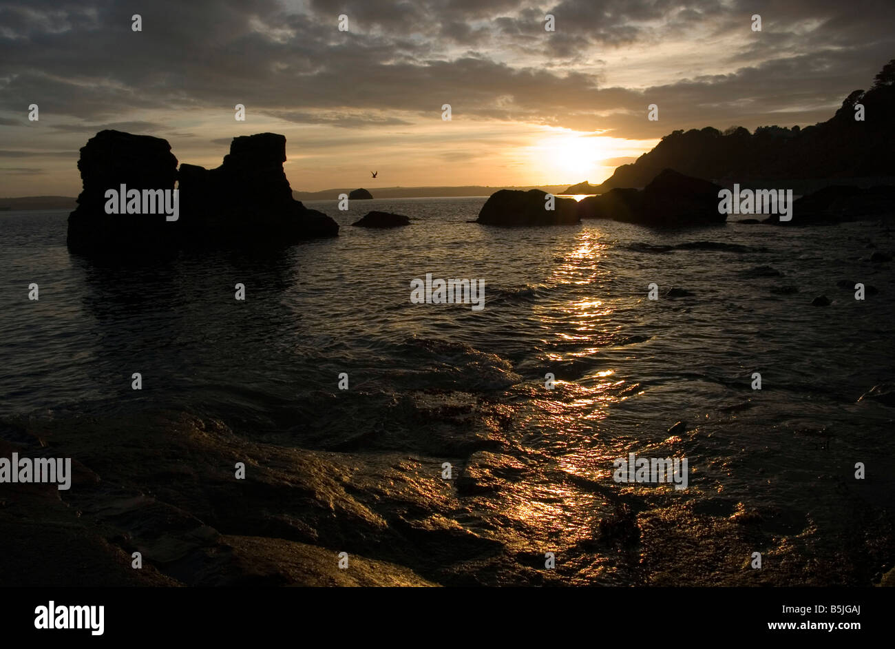 Sonnenuntergang über Meadfoot Beach, Englisch, Riviera, South Coast, Küste, Küste, Meer, Inseln, Island, Torquay Stockfoto