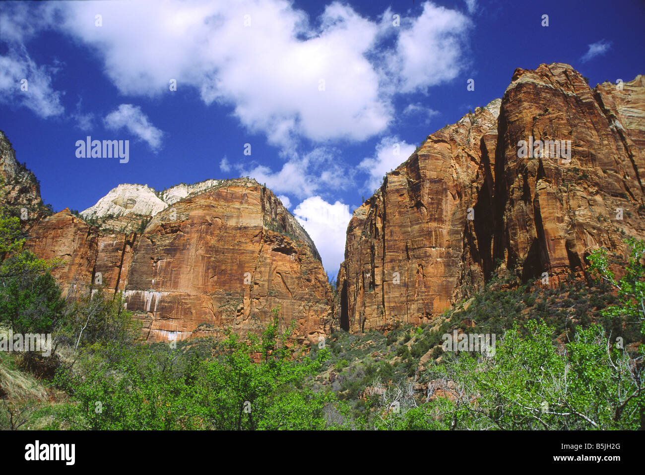 Steile Wände des Zion Canyon im Süden von Utah Stockfoto