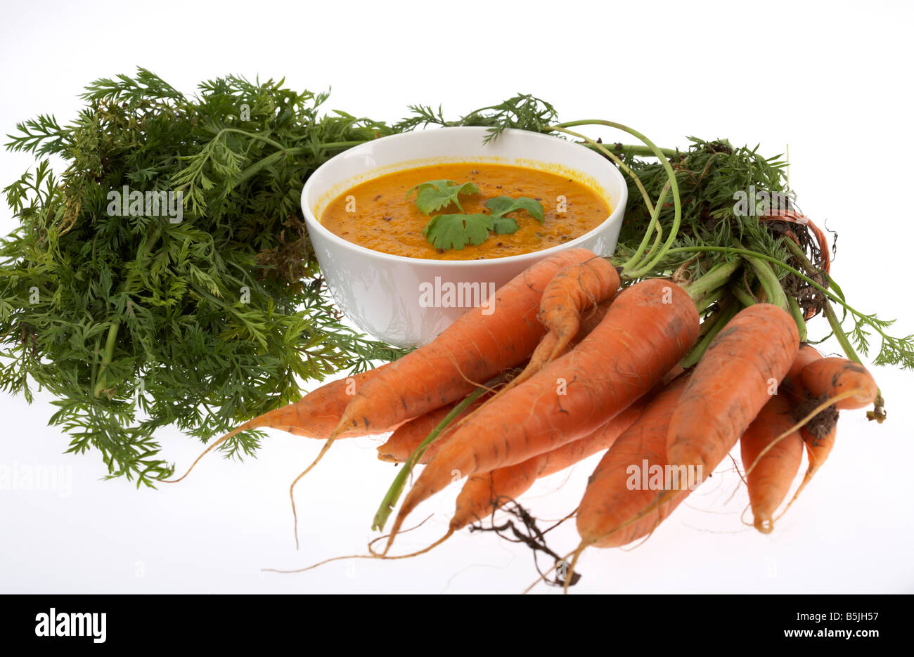 Schüssel mit Bio Karotten-Koriander-Suppe mit frischem Koriander Blätter und Haufen frisch gegraben Bio-Karotten Stockfoto