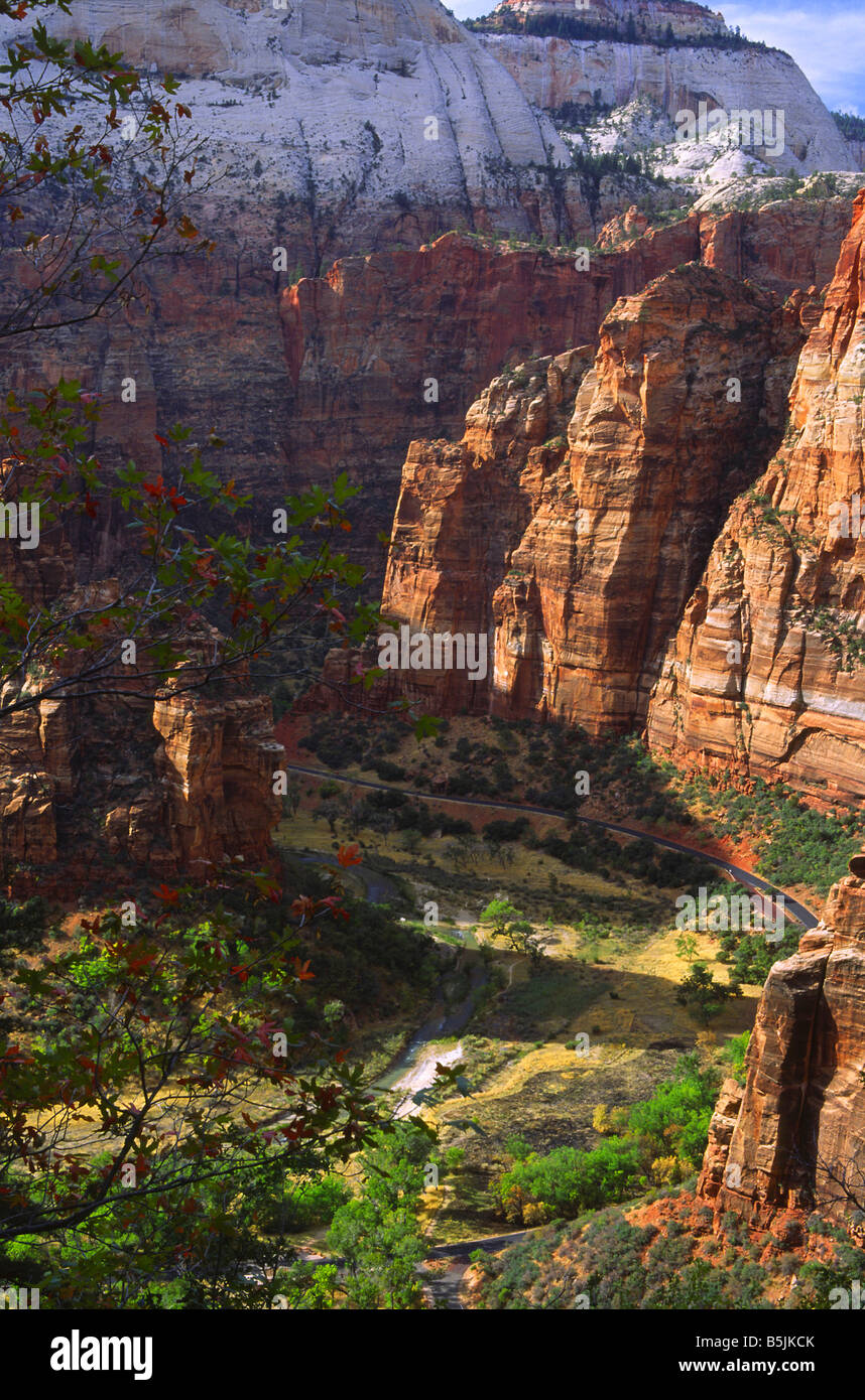 Zion Canyon von der Observation Point trail Stockfoto