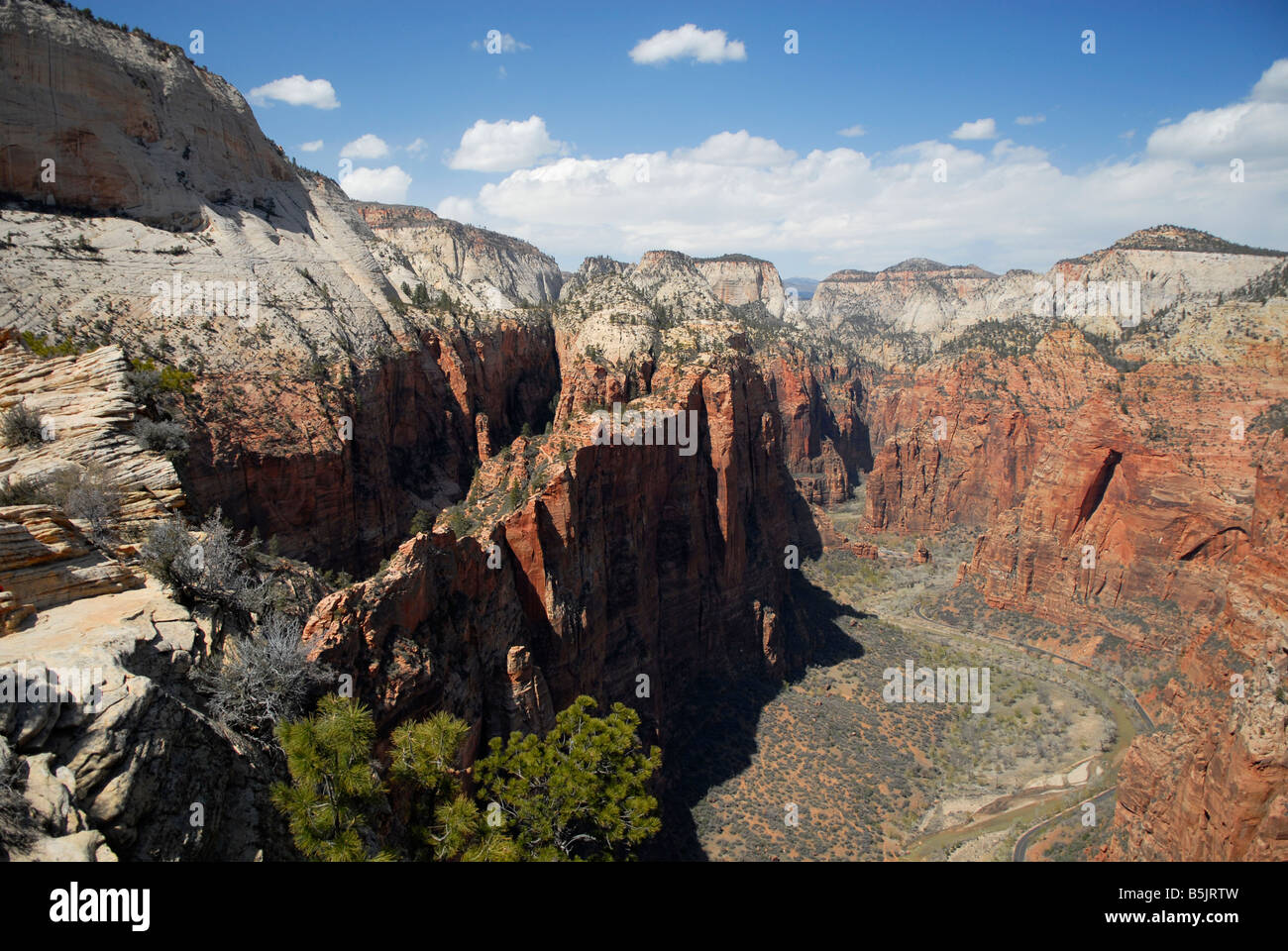 Zion Canyon von der Spitze von Angels Landing. Southern Utah Stockfoto