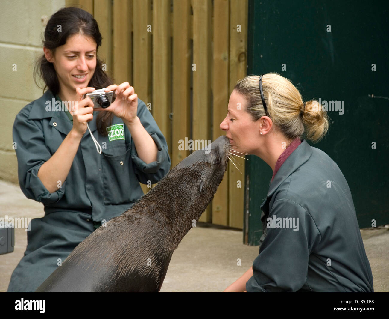 Sea Lion küssen weiblichen Zoo Keeper, Bristol Zoo, UK Stockfoto