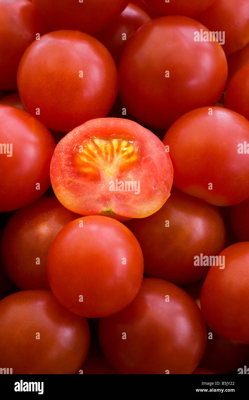 Frisch gepflückt und Schnitt Gärtner begeistern Tomaten UK Stockfoto