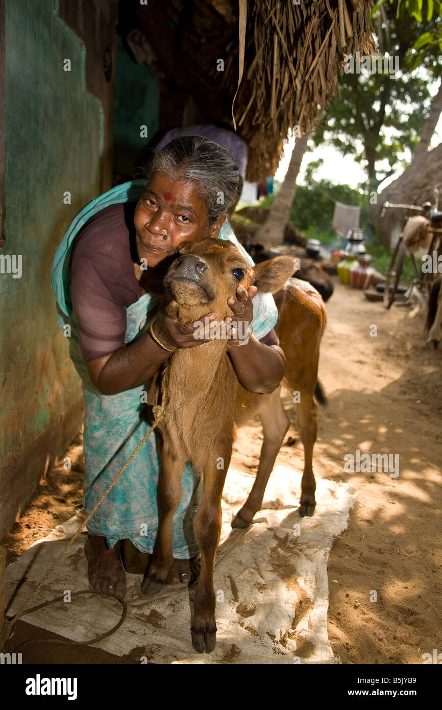 Lakshmi umarmt ihr Lieblings Kalb an HAI Kanakadu Dorf, das im Jahr 2003 von dem Tsunami getroffen wurde Stockfoto