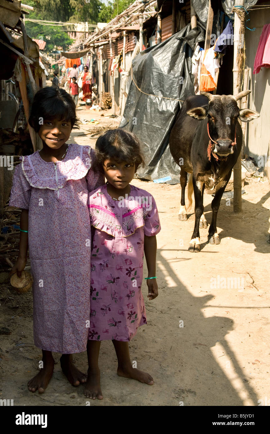 Tsunami-Überlebenden Vertriebenen Schwestern teilen ihr Zuhause mit Kühen und Schafen auf einem IDP Camp Nagapattinam Tamil Nadu Stockfoto