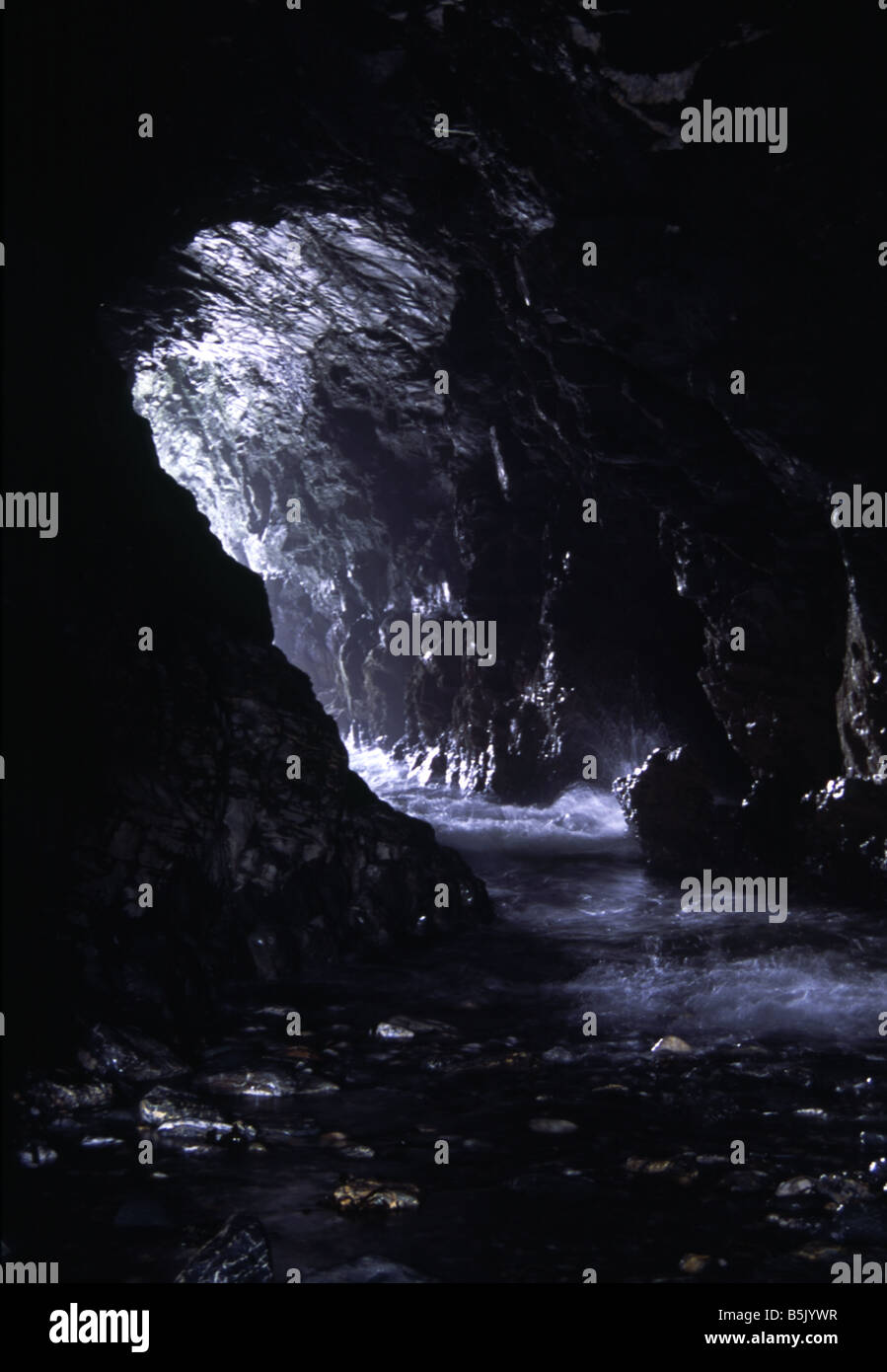 Innen Merlins Höhle oder Blasloch als ankommenden Gezeiten Meer Wasser rauscht, schnell überschwemmen den dunklen Tunnel, Tintagel, Cornwall, UK Stockfoto