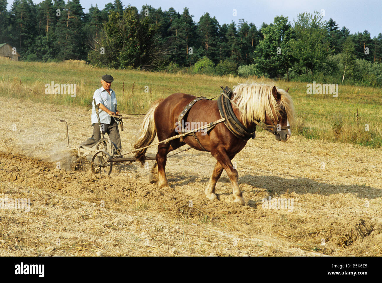 Polen Psary Dorf, Bodenbearbeitung Plackerei Mühe mit