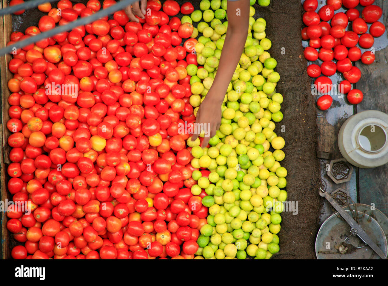 Straßenverkäufer ambulante Gemüse Stall in Delhi Indien Stockfoto