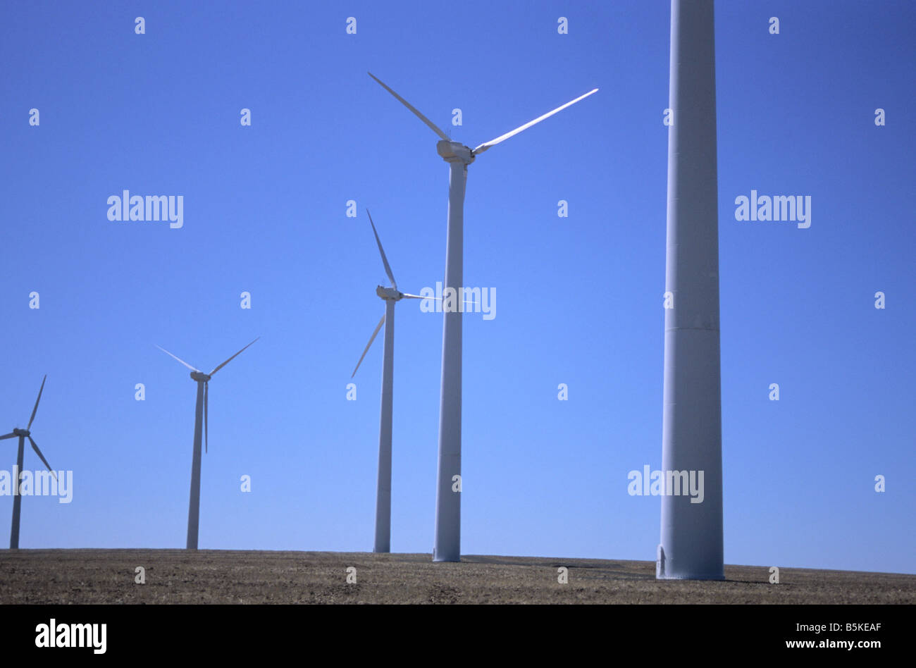 Energie, Windenergie, Windmühlen, Oregon, Wind, Alternative Energien, Pazifischer Nordwesten, USA Stockfoto