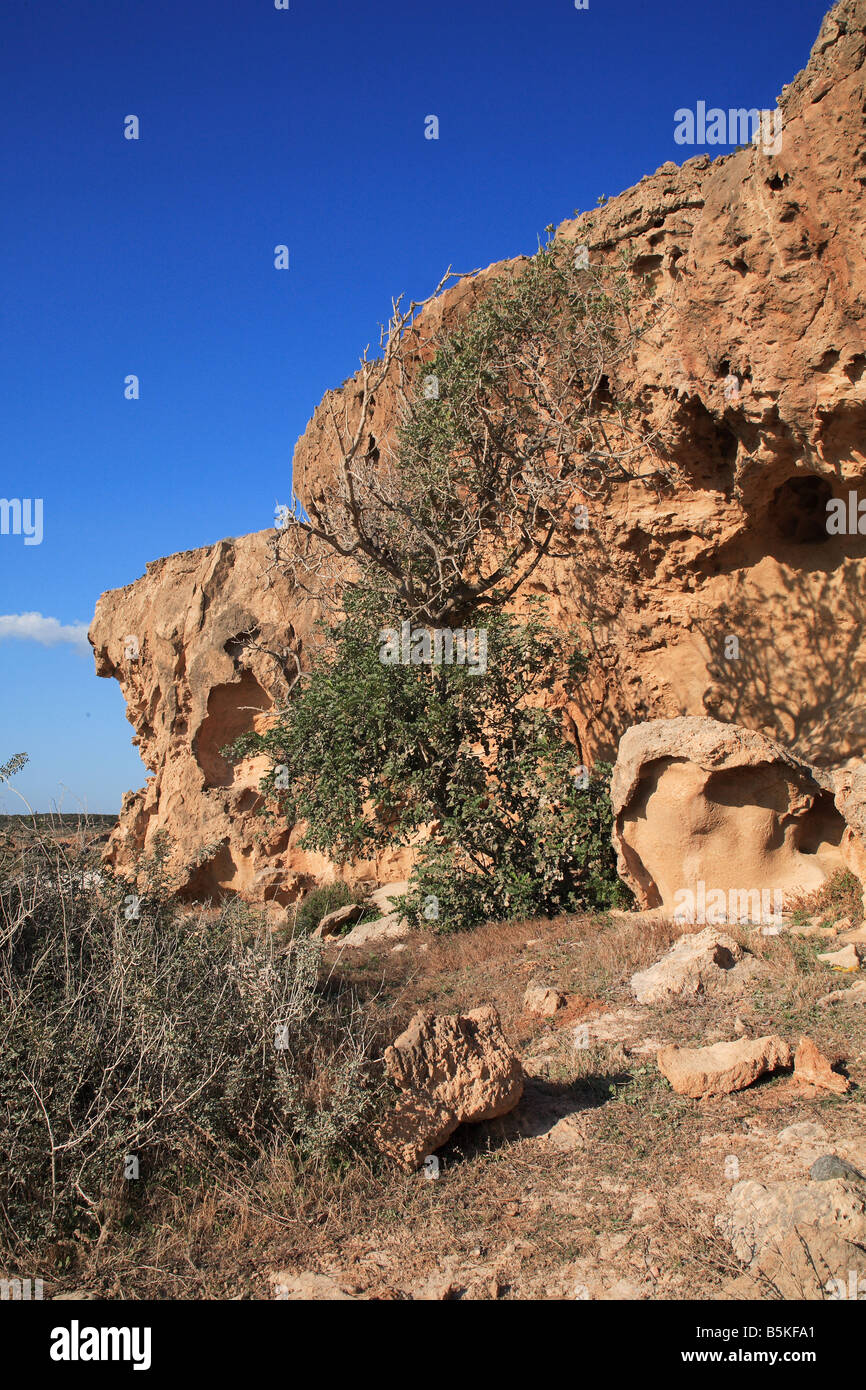Felsformation im Akamas Halbinsel Western Zypern Stockfoto