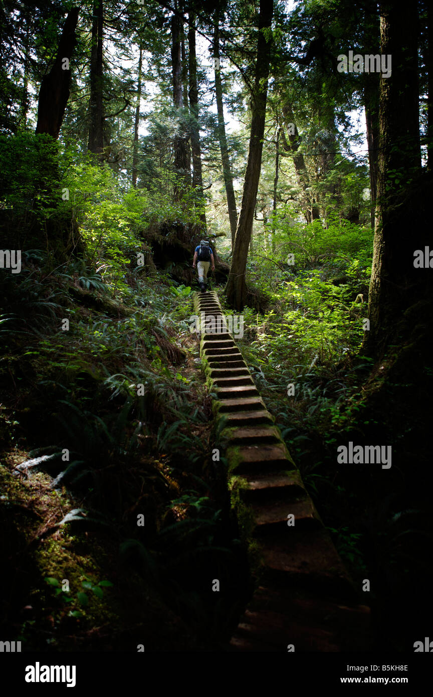 Juan De Fuca Marine Trail Stockfoto