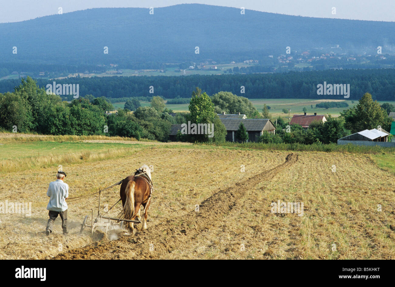 Polen Psary Dorf, Bodenbearbeitung Plackerei Mühe mit Pferd Pflug Stockfoto