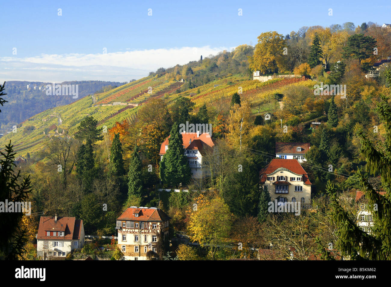 Villen im Weinberg im Herbst Stockfoto