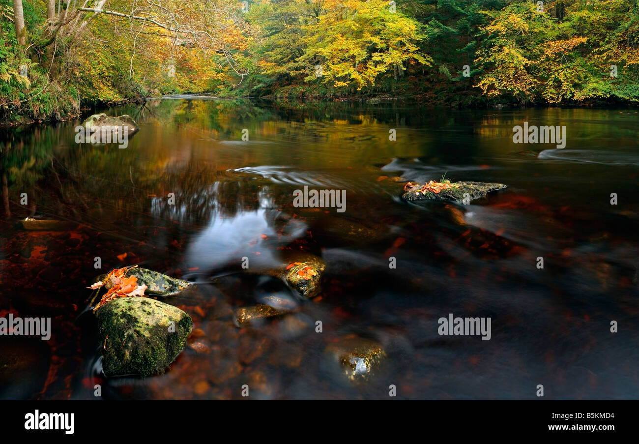 Herbst am River Findhorn, Morayshire, Schottland Stockfoto