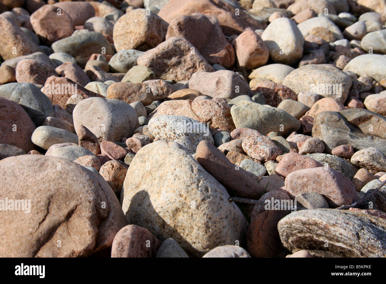 Steinen im ausgetrockneten Flussbett Stockfoto