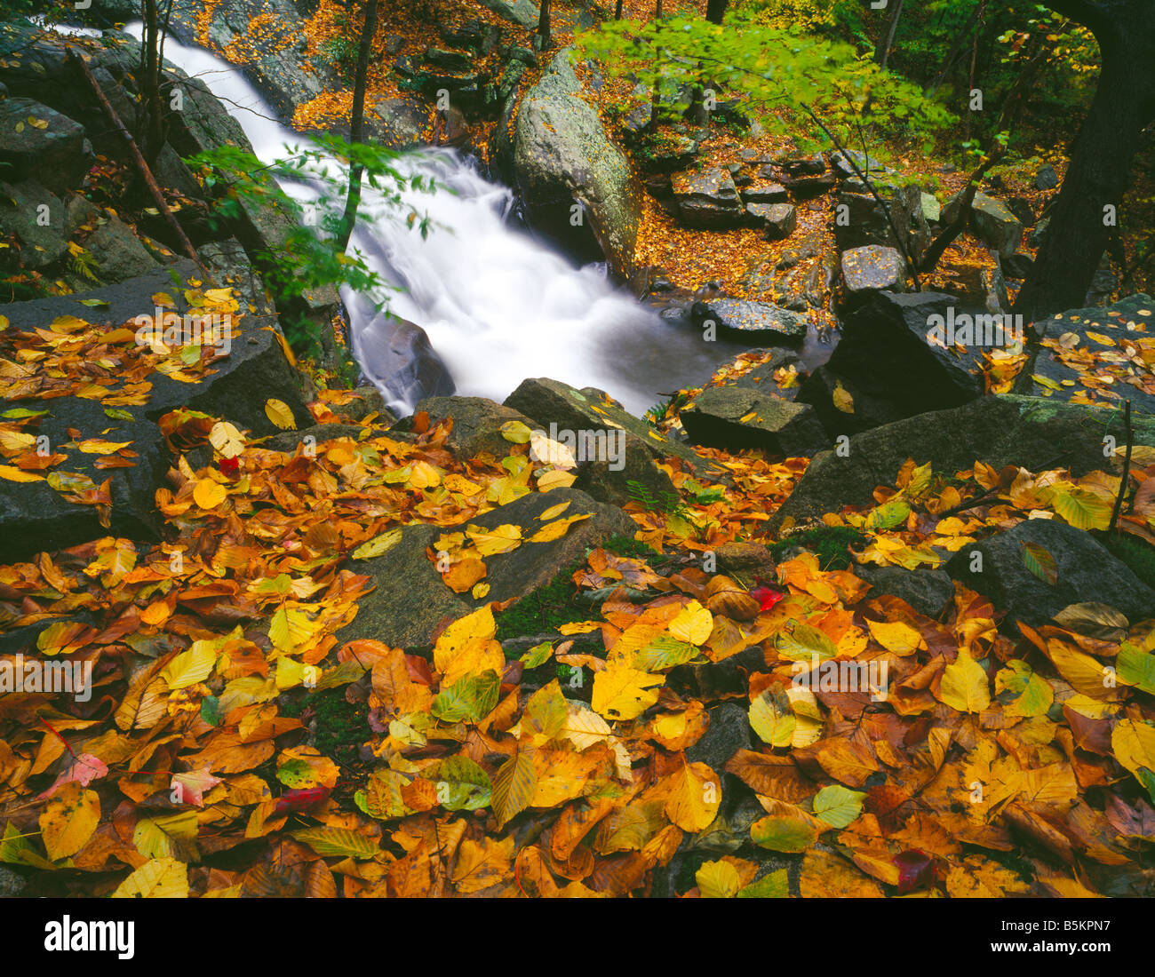 Electric Brook Falls Schooley Mountain Park Morris County New Jersey Stockfoto